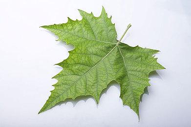 索尼PlayStation新战略：从卖主机到拼月活，瞄准持续盈利